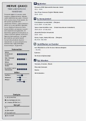 Laboratuvar Teknisyeni Cv Örnekleri cv indir